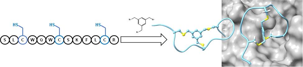 Bicyclic Temporin L Peptide Inhibitors Targeting SARS-CoV-2 Main Protease: Design, Synthesis, In-Vitro Inhibition Efficiency and Molecular Dynamics Insights. (2025). |RSC Medicinal Chemistry|